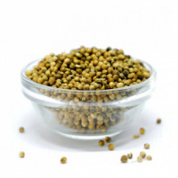 Кориандр Индийский Семена 100 гр.