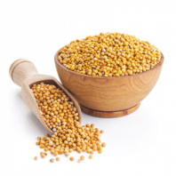 Горчица Желтая Семена 100 гр.